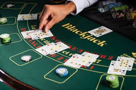 zoomqq Shio Game live dealer studio with zodiac selection display